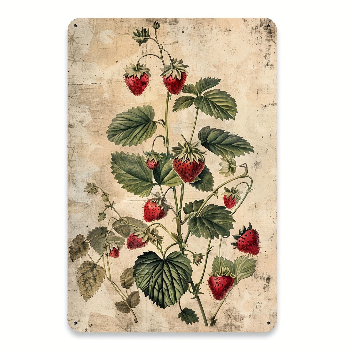Vintage Collectible Tins - 1pc, Vintage Fruit Collection Metal Tin