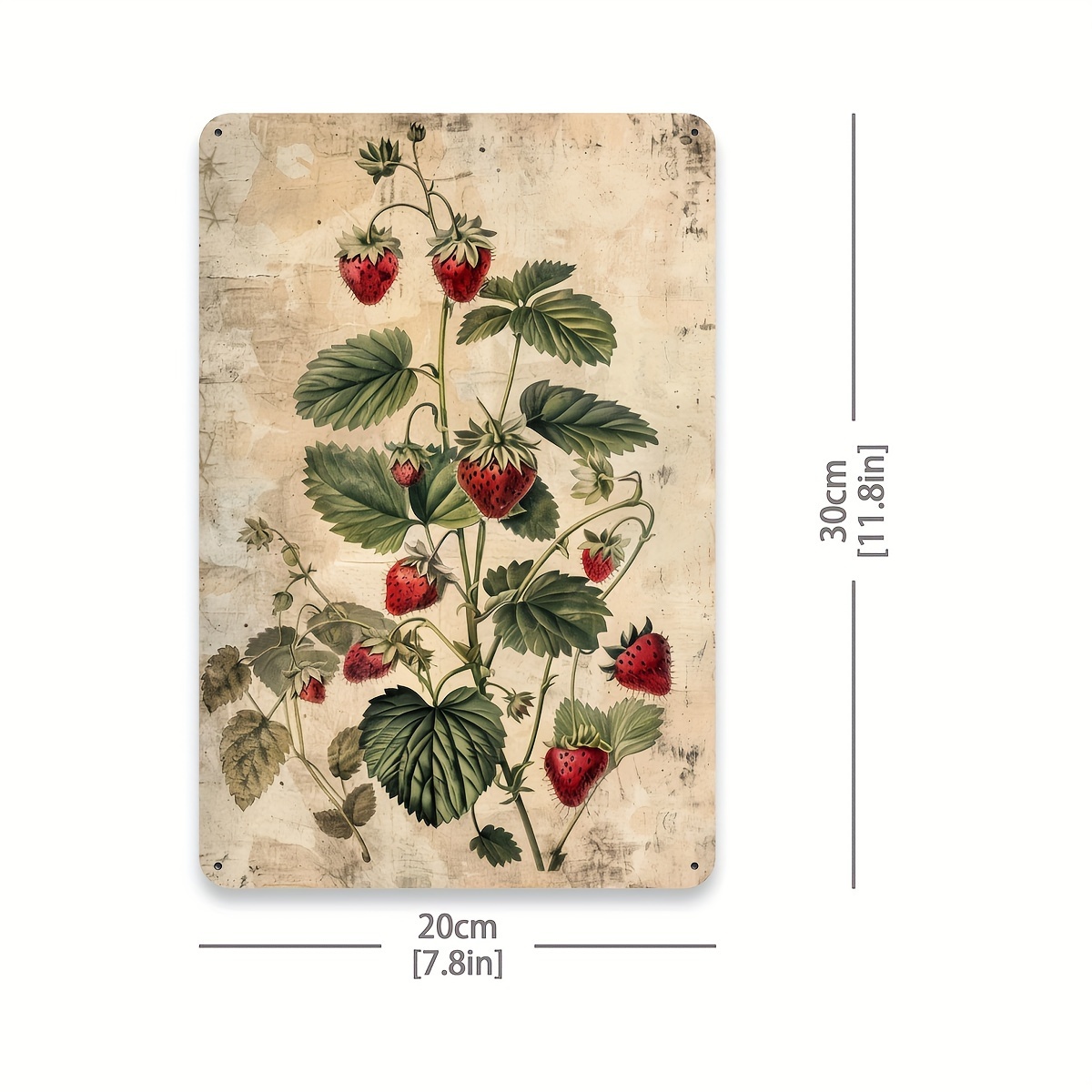 1pc, Vintage Fruit Collection  - огляд і ціна Vintage Collectible Tins